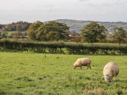 The Granary Biddulph Park - image 13