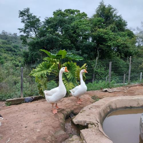 Fazenda do Engenho