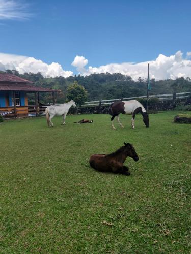 Fazenda do Engenho