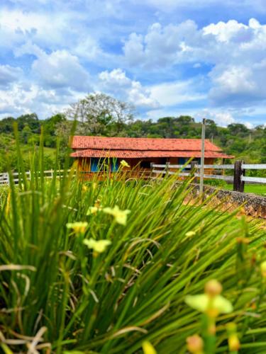 Fazenda do Engenho