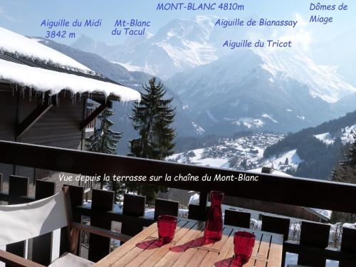Studio 2 personnes - vue Mont blanc Saint Gervais Les Bains