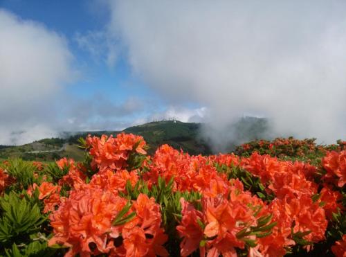 Hotel Montagne Matsumoto - Vacation STAY 82925v