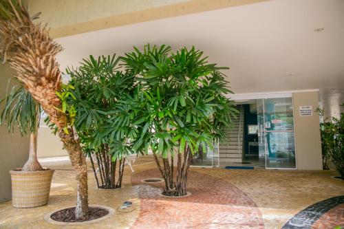 Paramar Praia Grande — foto 5
