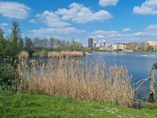 lac de CRETEIL, proche PARIS - Location saisonnière - Créteil