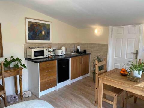 Ferncroft Garden Studio - Apartment - Histon