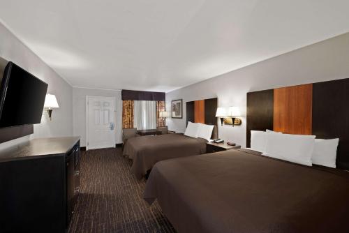 Best Western Executive Inn - image 6