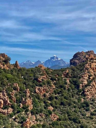 Vignarella meublé de tourisme classé 5 étoiles avec terrasse