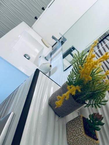 Villa Salako, Terre-de-Bas - Bas de Villa in Terre-de-Haut