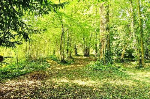 VILLA EDOUARD - 180m2 in nature & forest - 20min Disney - 7min airport gîte à louer Gressy