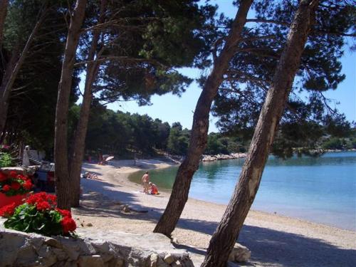 Holiday house with a parking space Drage Biograd - 21287 - image 3