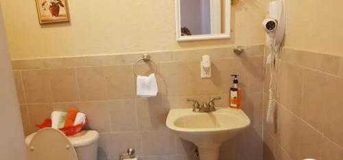 Oasis Condo