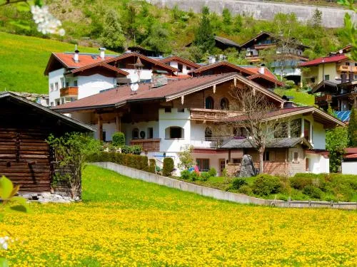 Adlerhorst , Gstan 31 in Finkenberg, Österreich