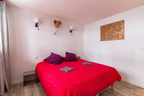 Appartement T4 central quartier Saint-Georges -Le Picomax-, Toulouse (fotografie 3)