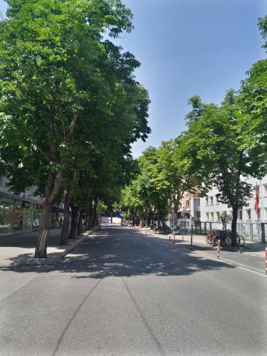 Lovely 1 1 Rental Ap In Myslym Shyri Tirana, Tirana (photo 5)