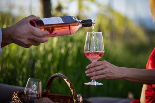  COBUE "Wine resort & Spa" in Pozzolengo