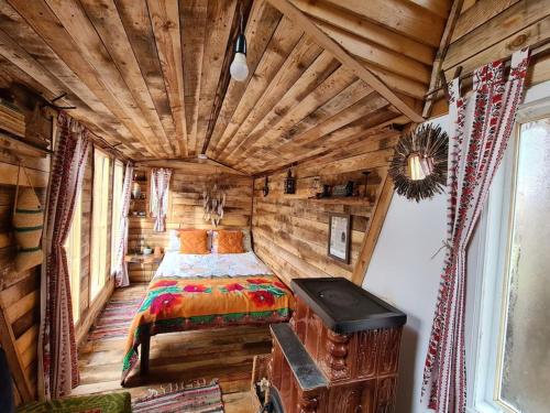 Fisherman's Cabin (Friendship Land) in Valea Mare Pravat