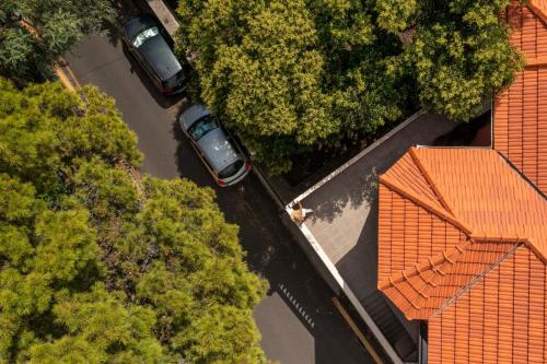 Casa Strelitzia by An Island Apart Entire house (Madeira Island) - Deals,  Photos & Reviews
