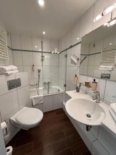 Mercure Strasbourg Centre Petite France - image 4