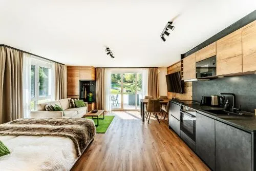 Black Forest Luxury Apartment Bärenhöhle mit Sauna in Schluchsee, Deutschland