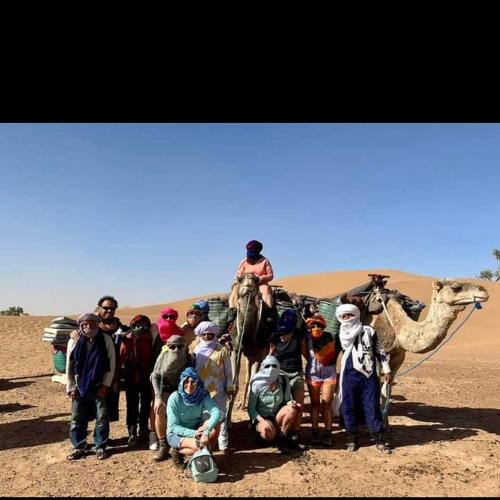 Mhamid wild Trekking Camels