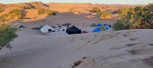 Mhamid wild Trekking Camels