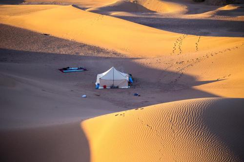 Mhamid wild Trekking Camels