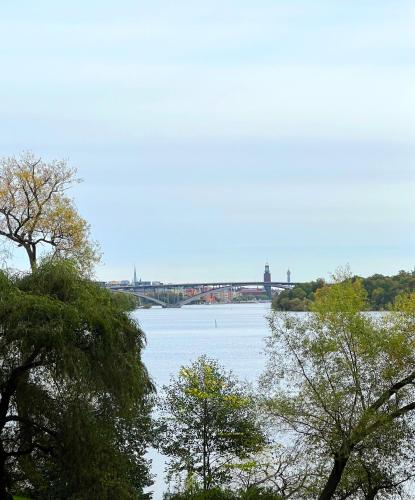 Apartment with amazing view, Stockholm (fotografie 4)