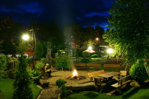 Kaktusik - image 10