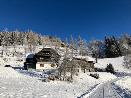  Appartement VIDMAR-FERIENGLÜCK, Pension in Arriach bei Zedlitzdorf