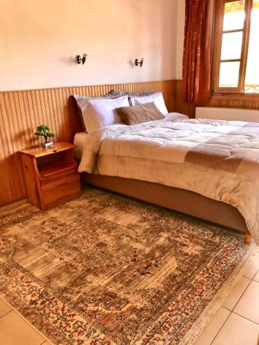 Apostolos Hotel in Metsovo