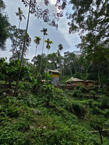 Mamalakandam Tree house