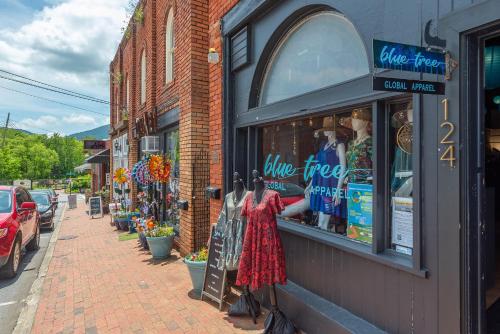 Cherry Street Loft (A) Pet-Friendly & In the Heart of Downtown Black Mtn!