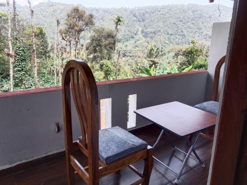 Narayani view homestay