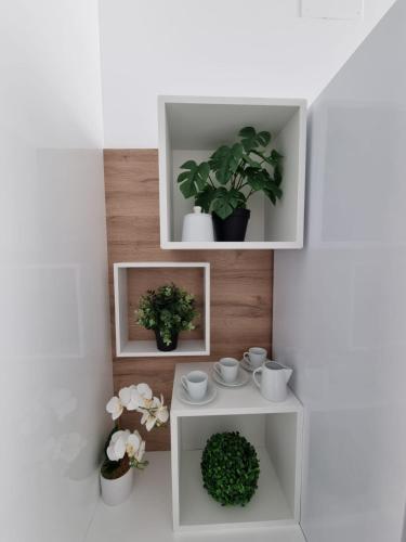 Rodinná vila s bazénem gîte à louer Daya Nueva