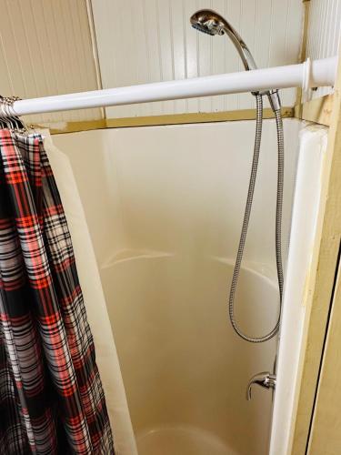Acorn Hideaways Canton Gold Panner Bunkhouse King Bed in Canton, USA