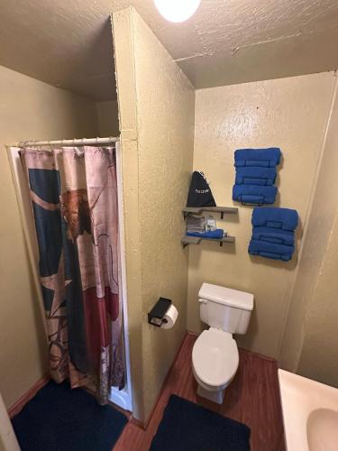 Acorn Hideaways Canton Cheerful Bluebonnet Suite Sleeps 5 in Canton, USA