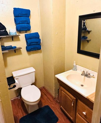 Acorn Hideaways Canton Cheerful Bluebonnet Suite Sleeps 5 in Canton, USA