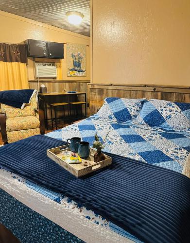 Acorn Hideaways Canton Cheerful Bluebonnet Suite Sleeps 5 in Canton, USA