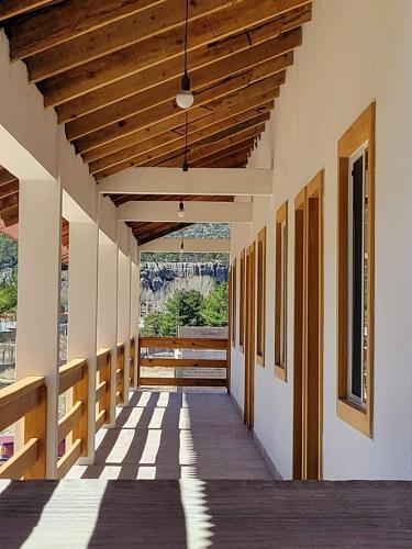 . Meson del Bosque