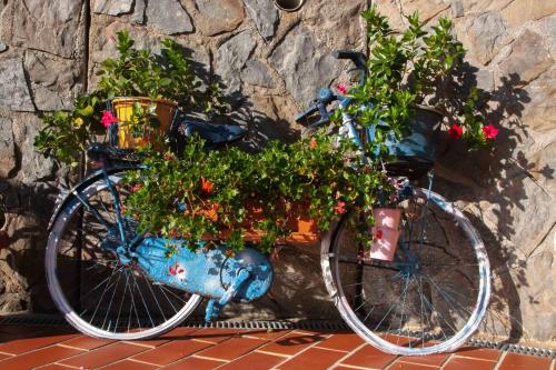 B&B Vignola - image 9