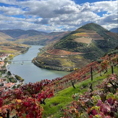 Hostel Douro Backpackers