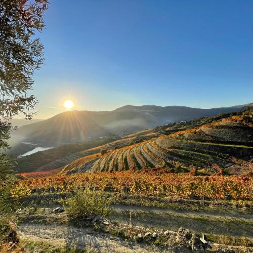 Hostel Douro Backpackers - image 13