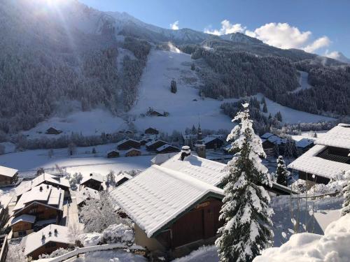 Appartement de charme renove proche du centre et des pistes avec Wi-Fi - FR-1-692-91 in La Chapelle-d'Abondance