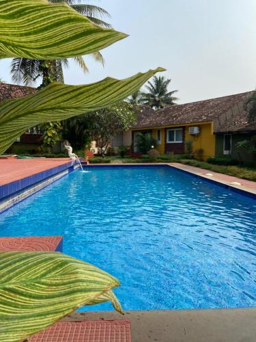 3 bhk luxury villa with pool ajuna