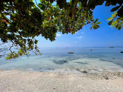 Voz Resort Voz Resort