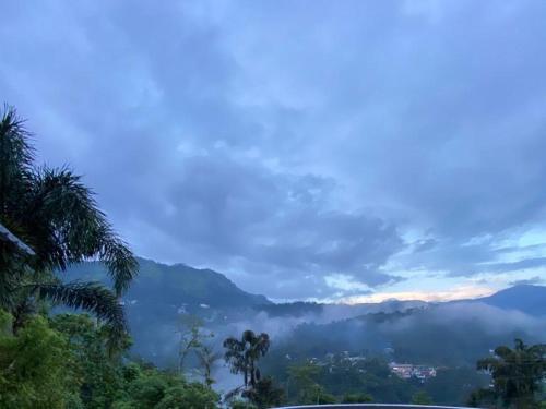 Munnar Blue Mist