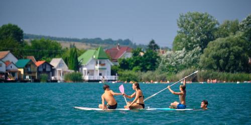 Palatinus Apartman Esztergom