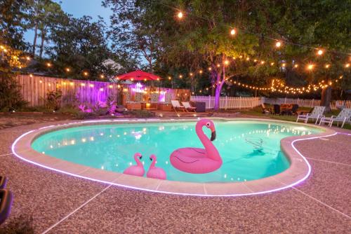 The Flamingo House - Family Fun Time