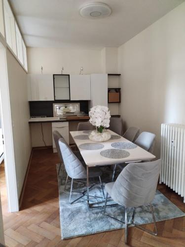 Appartement spacieux proche du centre ville, Strasbourg (photo 2)