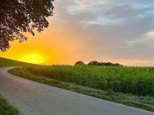 Ruhige,gemütliche Ferienwohnung Ruhige,gemütliche Ferienwohnung